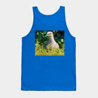 Mourning dove Tank Top